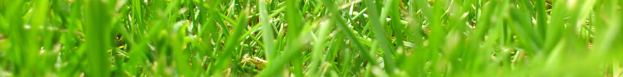 Landscape Services near me